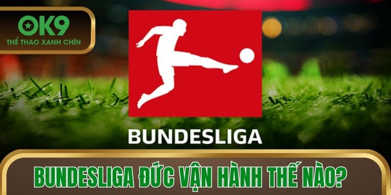 Bundesliga Đức vận hành thế nào?