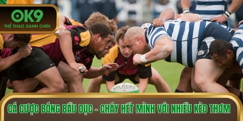Cá cược bóng bầu dục