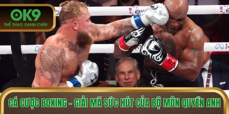 Cá cược boxing