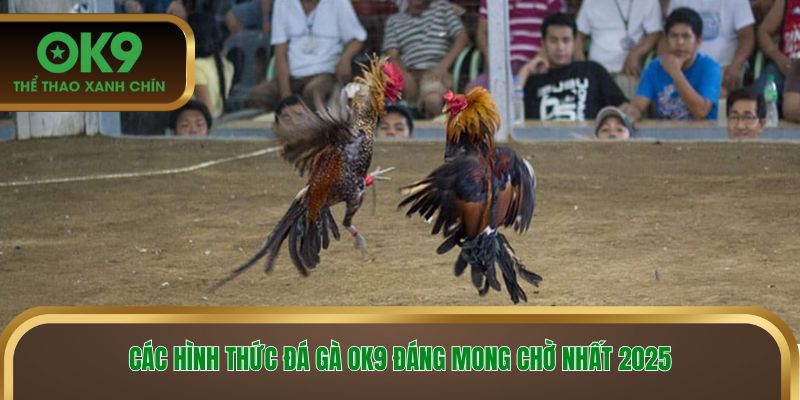 Các hình thức đá gà OK9 đáng mong chờ nhất 2025