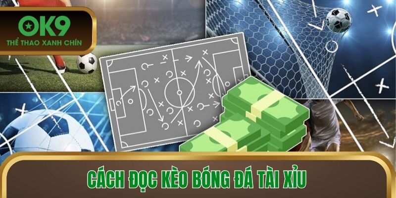 Cách đọc kèo bóng đá tài xỉu