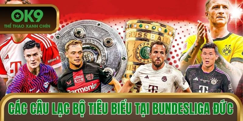 Các câu lạc bộ tiêu biểu tại Bundesliga Đức