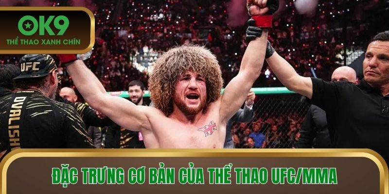 Đặc trưng cơ bản của thể thao UFC/MMA