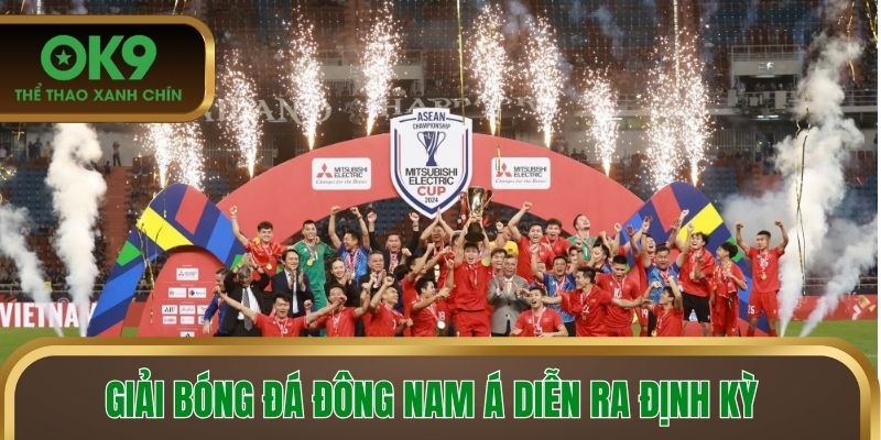 Giải Bóng đá Đông Nam Á diễn ra đều đặn
