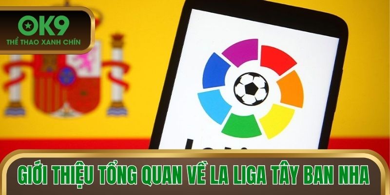 Giới thiệu tổng quan về La Liga Tây Ban Nha