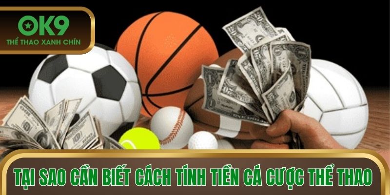 Tại sao cần biết cách tính tiền cá cược thể thao