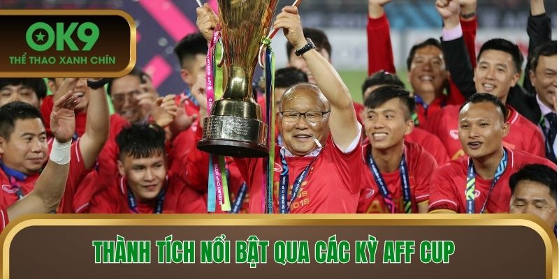 Thành tích nổi bật qua các kỳ AFF Cup