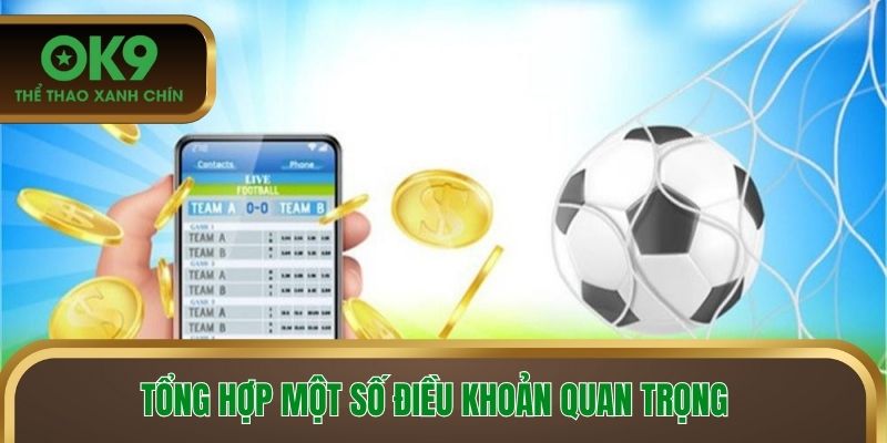 Tổng hợp một số điều khoản quan trọng